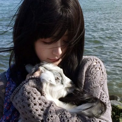 数码宝贝大冒险tri. 第1章:再会